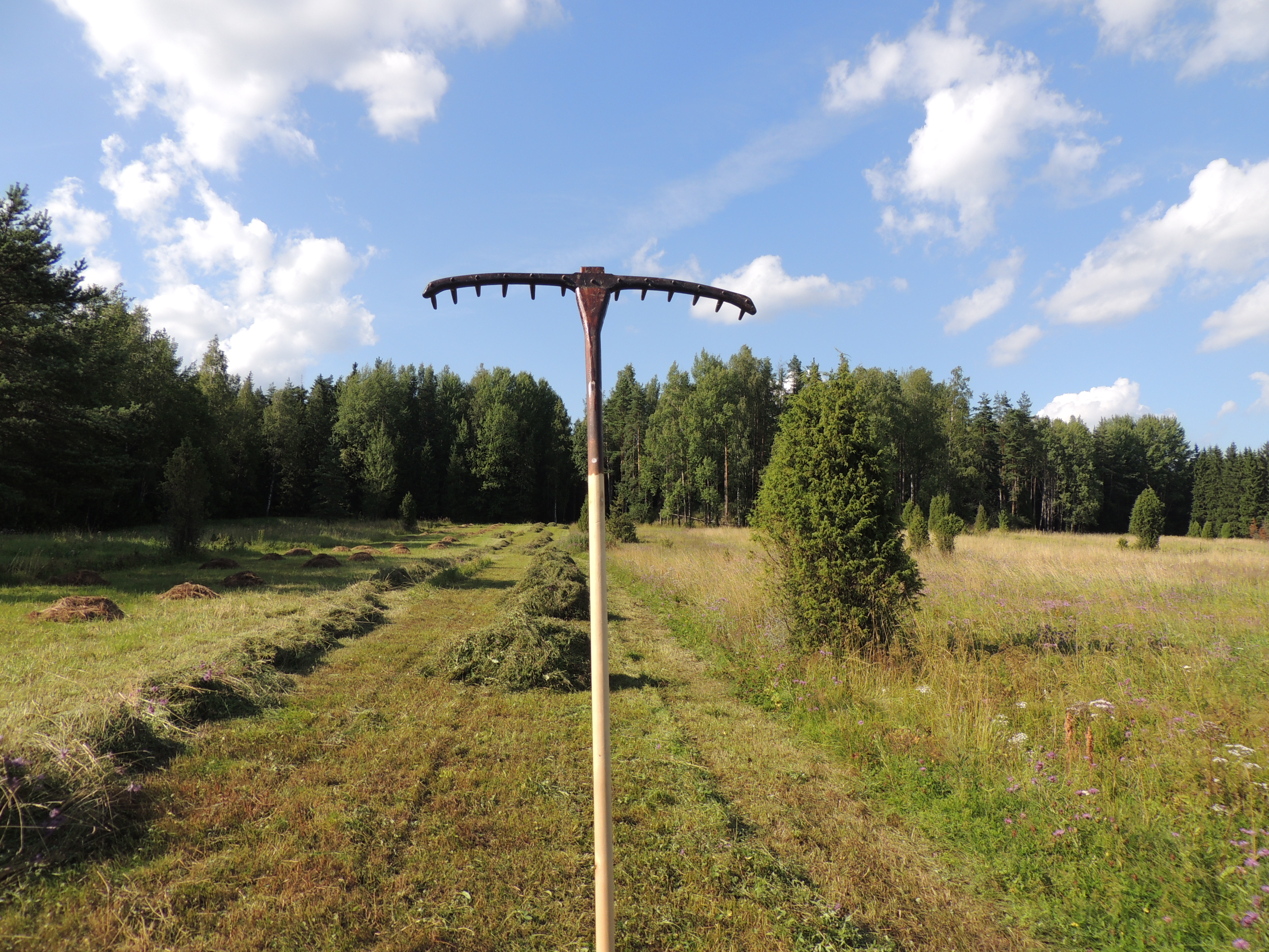 Ahlaislainen harava