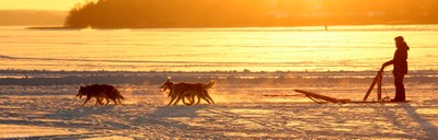 Koiravaljakko Tuusulanjärvellä