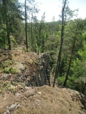 Usminkallio Yrjö Ala-Paavola