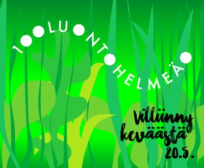 Villiinny keväästä Luontohelmen äärellä